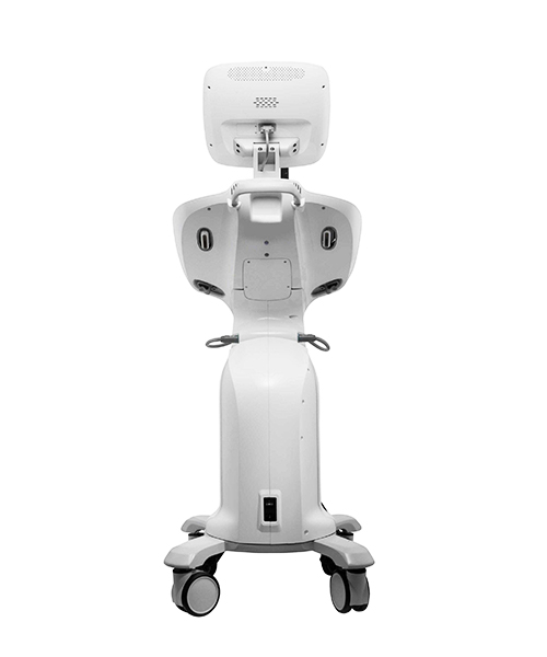 ultraformer ds 3 (1).jpg